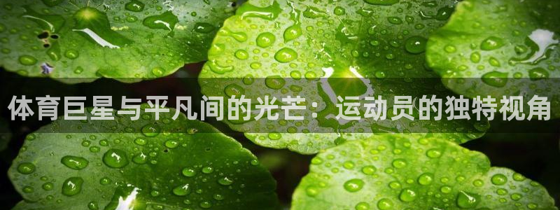 球新体育：体育巨星与平凡间的光芒：运动员的独特视角