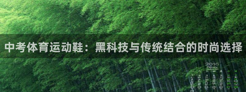 球新体育：中考体育运动鞋：黑科技与传统结合的时尚选择