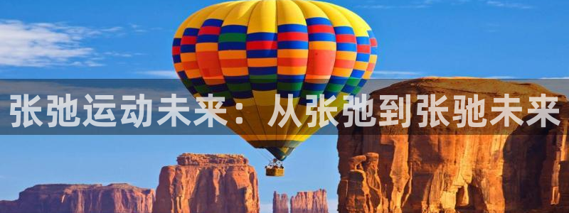 球新体育：张弛运动未来：从张弛到张驰未来