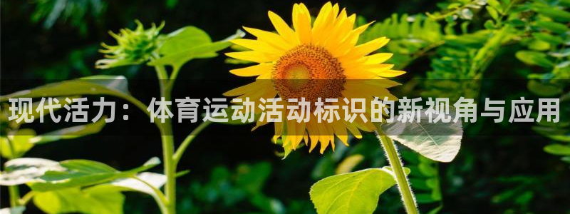 球新体育：现代活力：体育运动活动标识的新视角与应用
