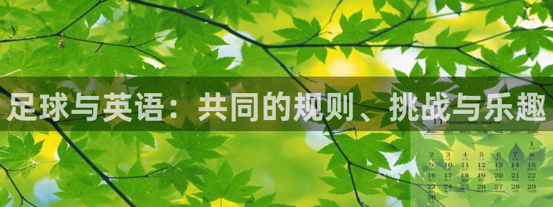 球新体育：足球与英语：共同的规则、挑战与乐趣